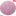 Auto Paint Supplier